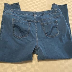 Lane Bryant Jeans Womens‎ Size 24 Average Skinny Stretch Genius Fit 44 X 29 Plus